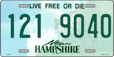 NH license plate 1219040