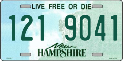 NH license plate 1219041