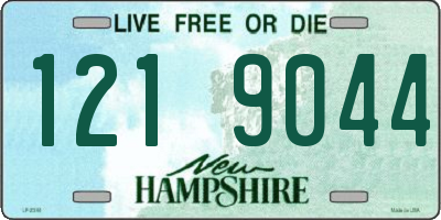 NH license plate 1219044