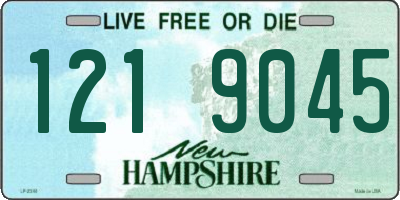 NH license plate 1219045