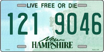 NH license plate 1219046