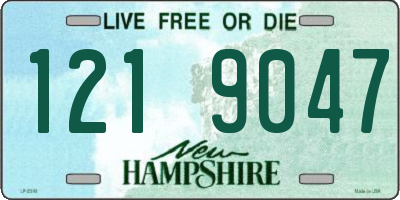 NH license plate 1219047