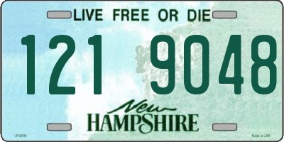 NH license plate 1219048