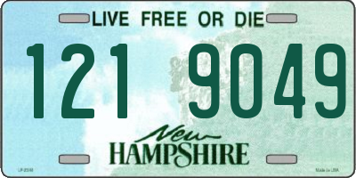 NH license plate 1219049