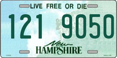 NH license plate 1219050