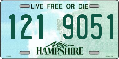 NH license plate 1219051