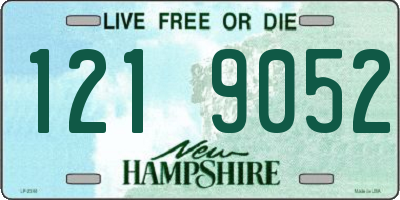 NH license plate 1219052