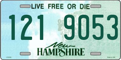 NH license plate 1219053