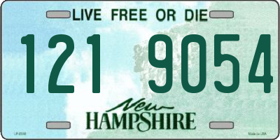 NH license plate 1219054