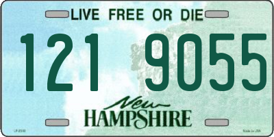 NH license plate 1219055