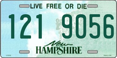 NH license plate 1219056