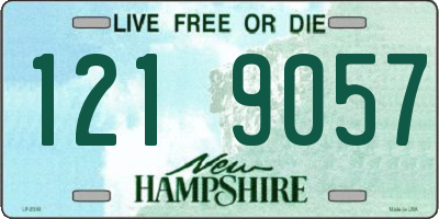 NH license plate 1219057