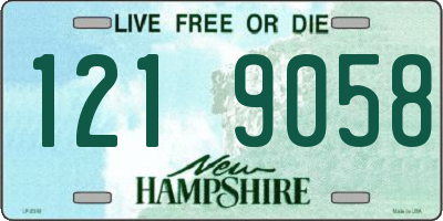 NH license plate 1219058