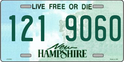 NH license plate 1219060