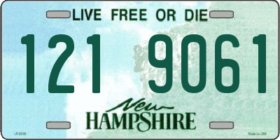 NH license plate 1219061