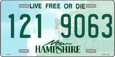 NH license plate 1219063