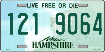 NH license plate 1219064