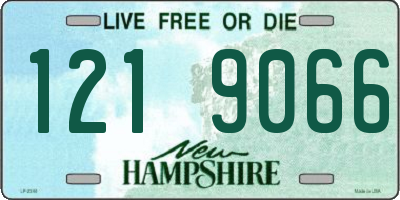 NH license plate 1219066