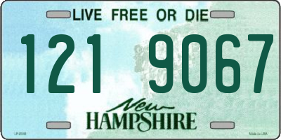 NH license plate 1219067