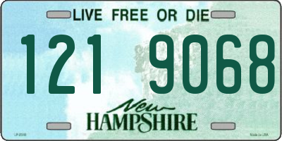 NH license plate 1219068