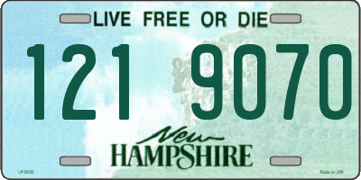 NH license plate 1219070