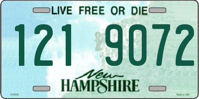 NH license plate 1219072