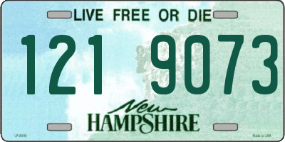 NH license plate 1219073