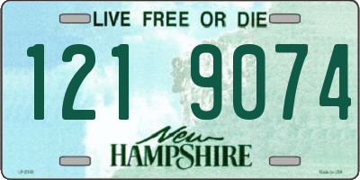 NH license plate 1219074