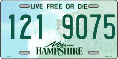 NH license plate 1219075