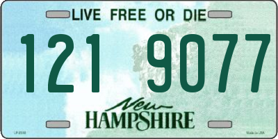 NH license plate 1219077