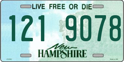 NH license plate 1219078