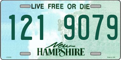 NH license plate 1219079