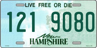 NH license plate 1219080