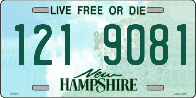 NH license plate 1219081