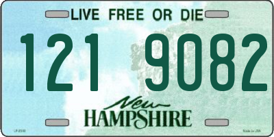 NH license plate 1219082