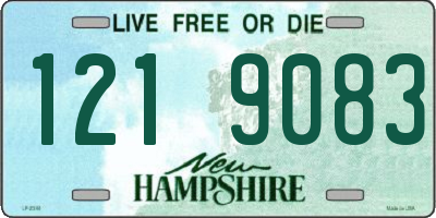 NH license plate 1219083