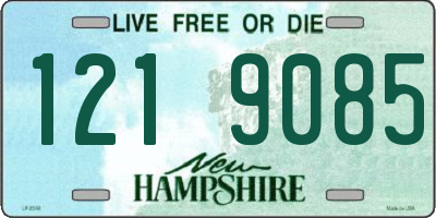 NH license plate 1219085