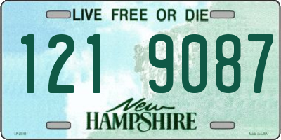 NH license plate 1219087