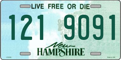 NH license plate 1219091