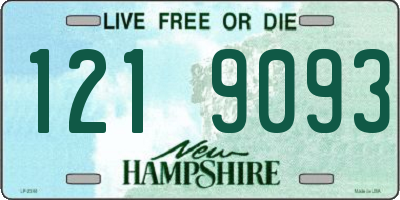 NH license plate 1219093