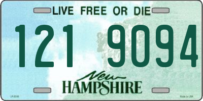 NH license plate 1219094