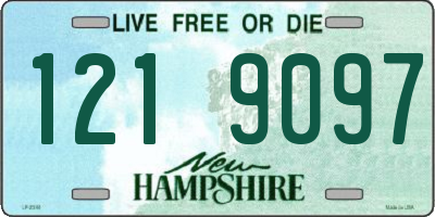 NH license plate 1219097