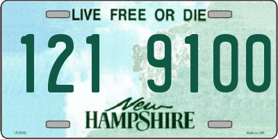 NH license plate 1219100