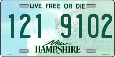 NH license plate 1219102