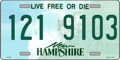 NH license plate 1219103