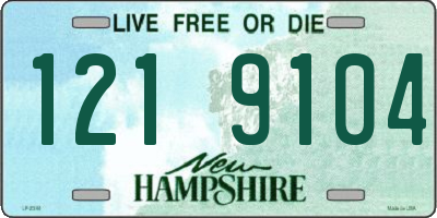 NH license plate 1219104