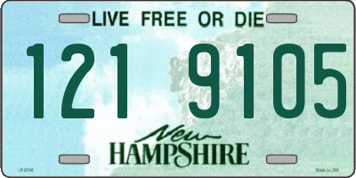 NH license plate 1219105