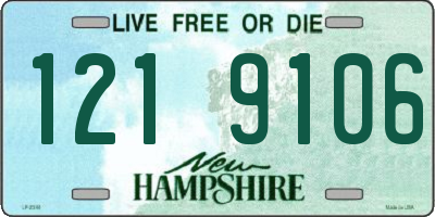 NH license plate 1219106