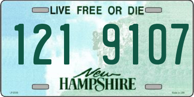 NH license plate 1219107