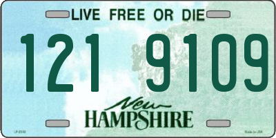 NH license plate 1219109